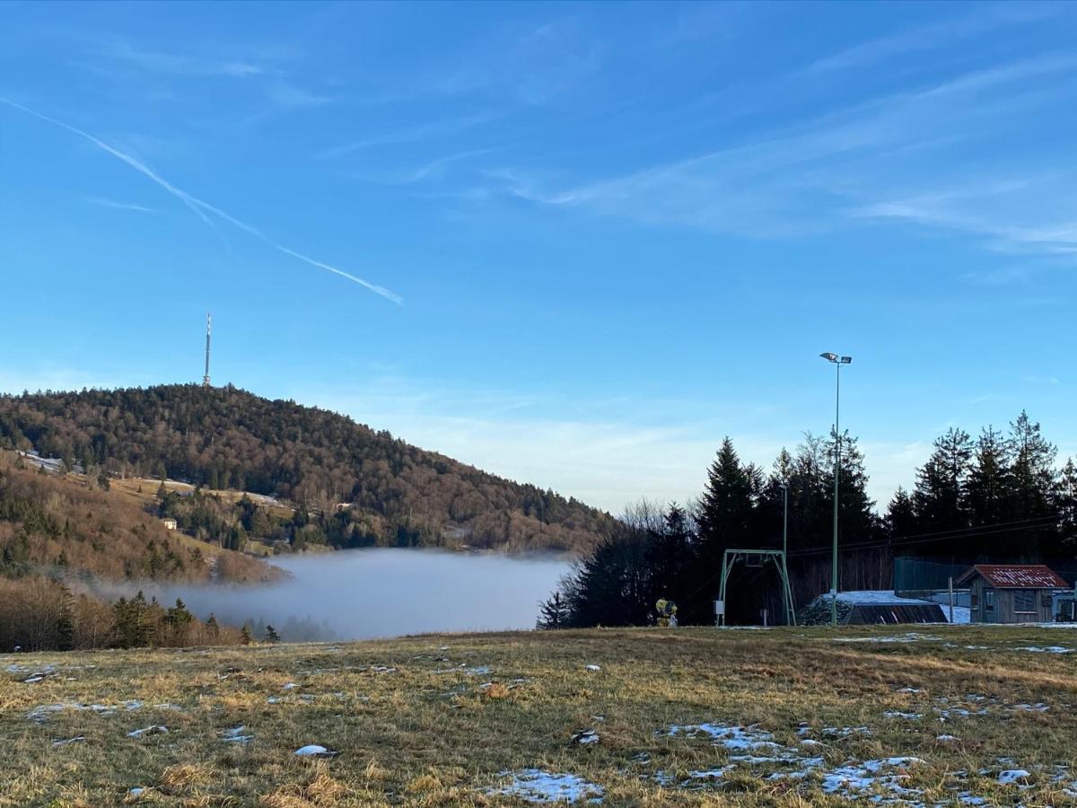 Mitten Im Bayerischen Wald-95M² Wohnung + *Netflix* Direkt Am Skilift! Schöfweg Zewnętrze zdjęcie