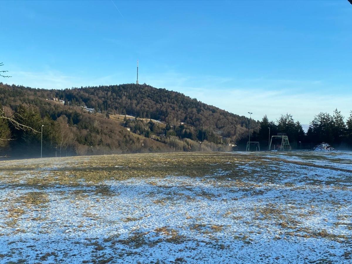 Mitten Im Bayerischen Wald-95M² Wohnung + *Netflix* Direkt Am Skilift! Schöfweg Zewnętrze zdjęcie