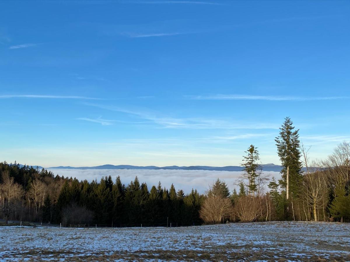 Mitten Im Bayerischen Wald-95M² Wohnung + *Netflix* Direkt Am Skilift! Schöfweg Zewnętrze zdjęcie