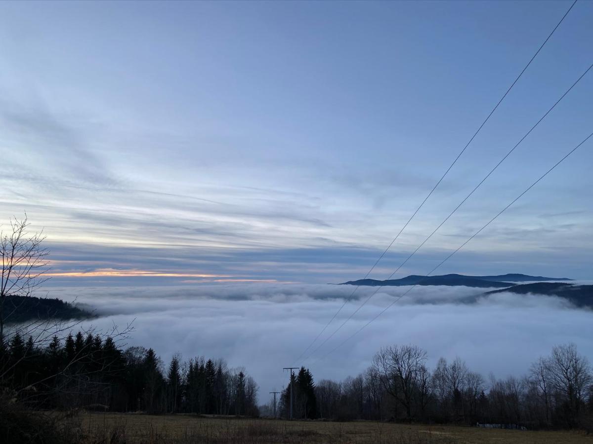 Mitten Im Bayerischen Wald-95M² Wohnung + *Netflix* Direkt Am Skilift! Schöfweg Zewnętrze zdjęcie