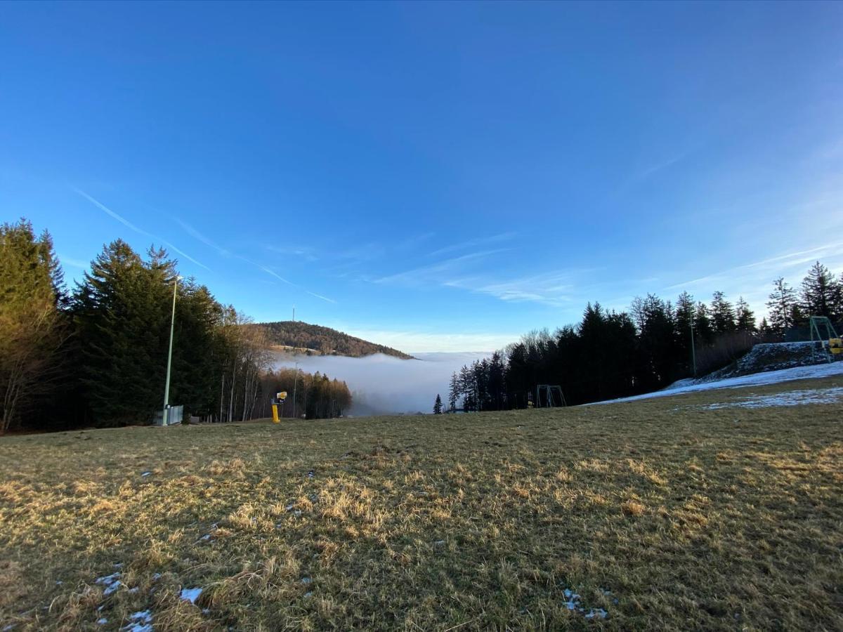 Mitten Im Bayerischen Wald-95M² Wohnung + *Netflix* Direkt Am Skilift! Schöfweg Zewnętrze zdjęcie